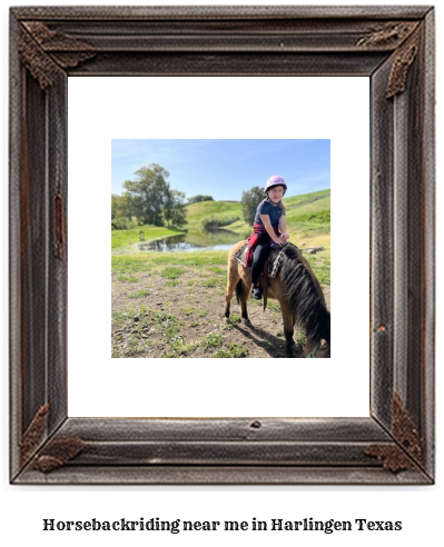 horseback riding near me in Harlingen, Texas